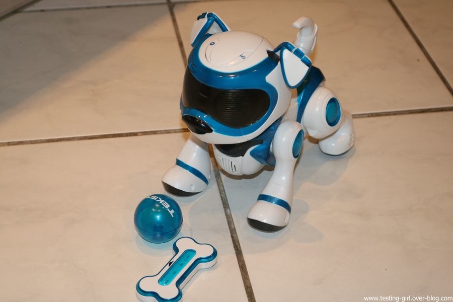 chien robot teksta bleu